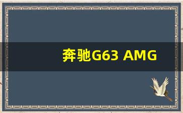 奔驰G63 AMG